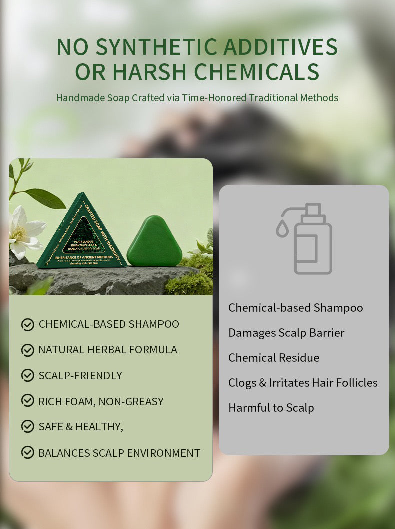 Xinjiang Usman Grass & He Shou Wu Hair Darkening Shampoo Bar (120g) | Anti-Hair Loss, Oil Control & Dandruff Treatment | Natural Herbal Solid Soap for Hair Growth