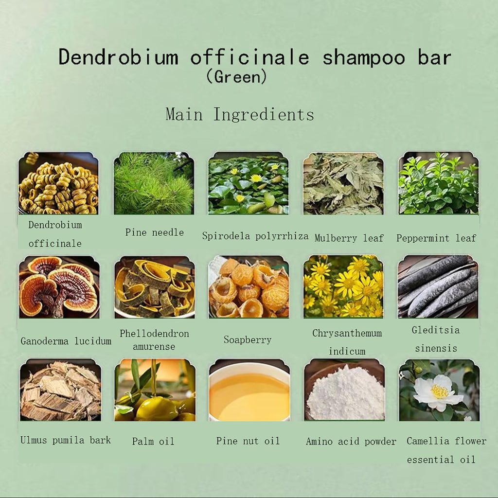 Natural Herbal Handmade Shampoo Bar Duo | Dendrobium & He Shou Wu + Pine Needle Set (100g x 2) for Hair Growth, Anti-Hair Loss & Oil Control
