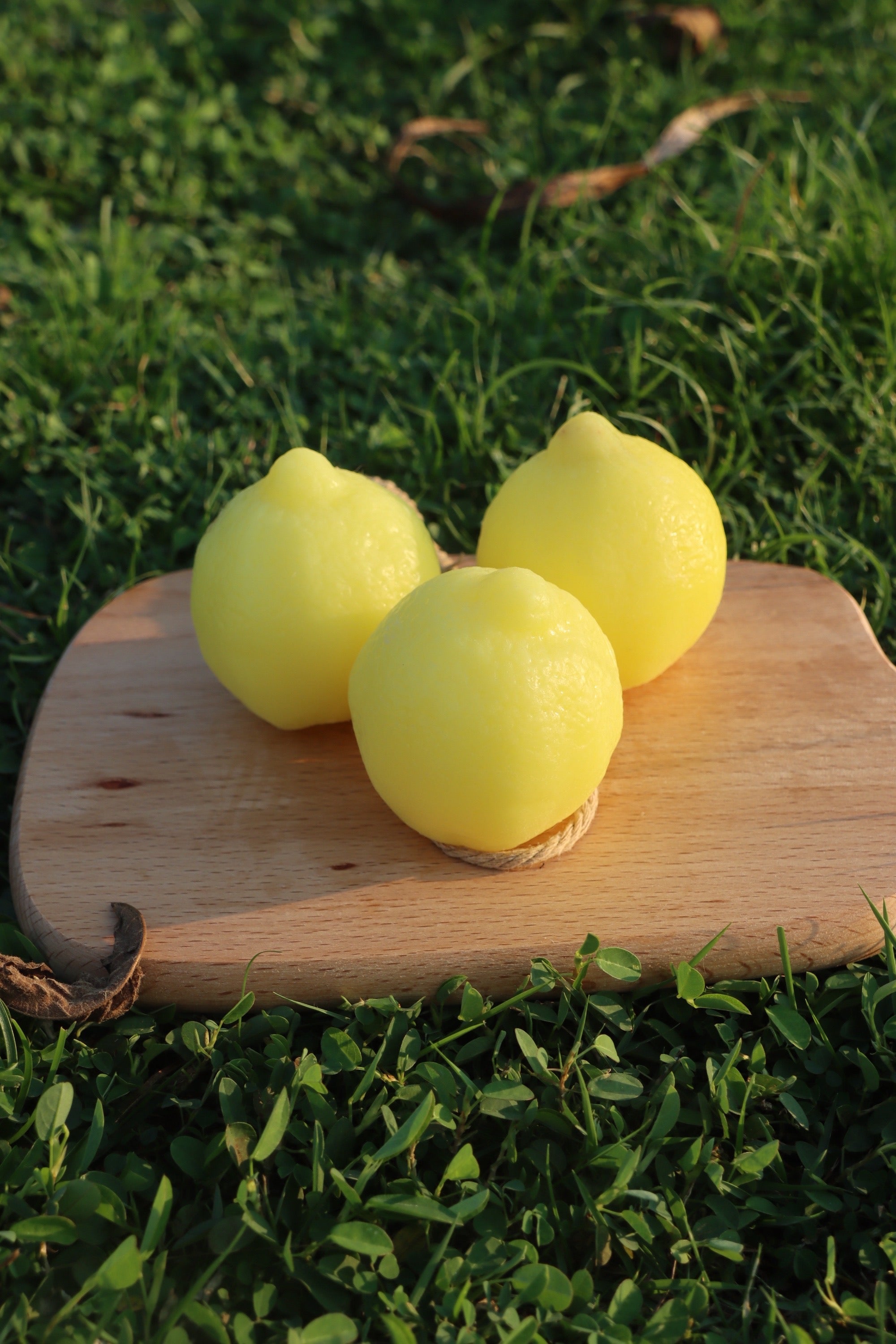 Natural Lemon Shaped Soap - Refreshing & Moisturizing - Creative Gift