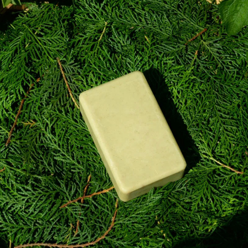 Handmade Mugwort & Dendrobium Herbal Soap Bar | Natural Skin Cleanser