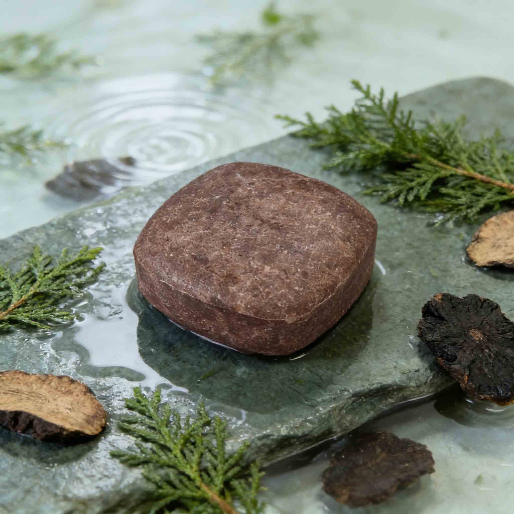 Polygonum & Arborvitae Hair Darkening Shampoo Bar | Anti-Hair Loss