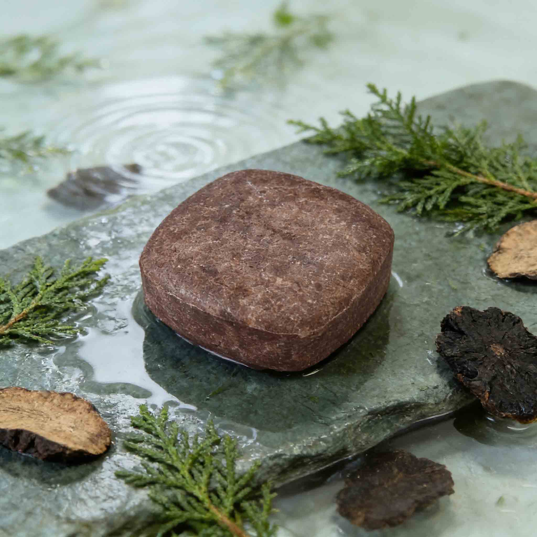Polygonum & Arborvitae Hair Darkening Shampoo Bar | Anti-Hair Loss