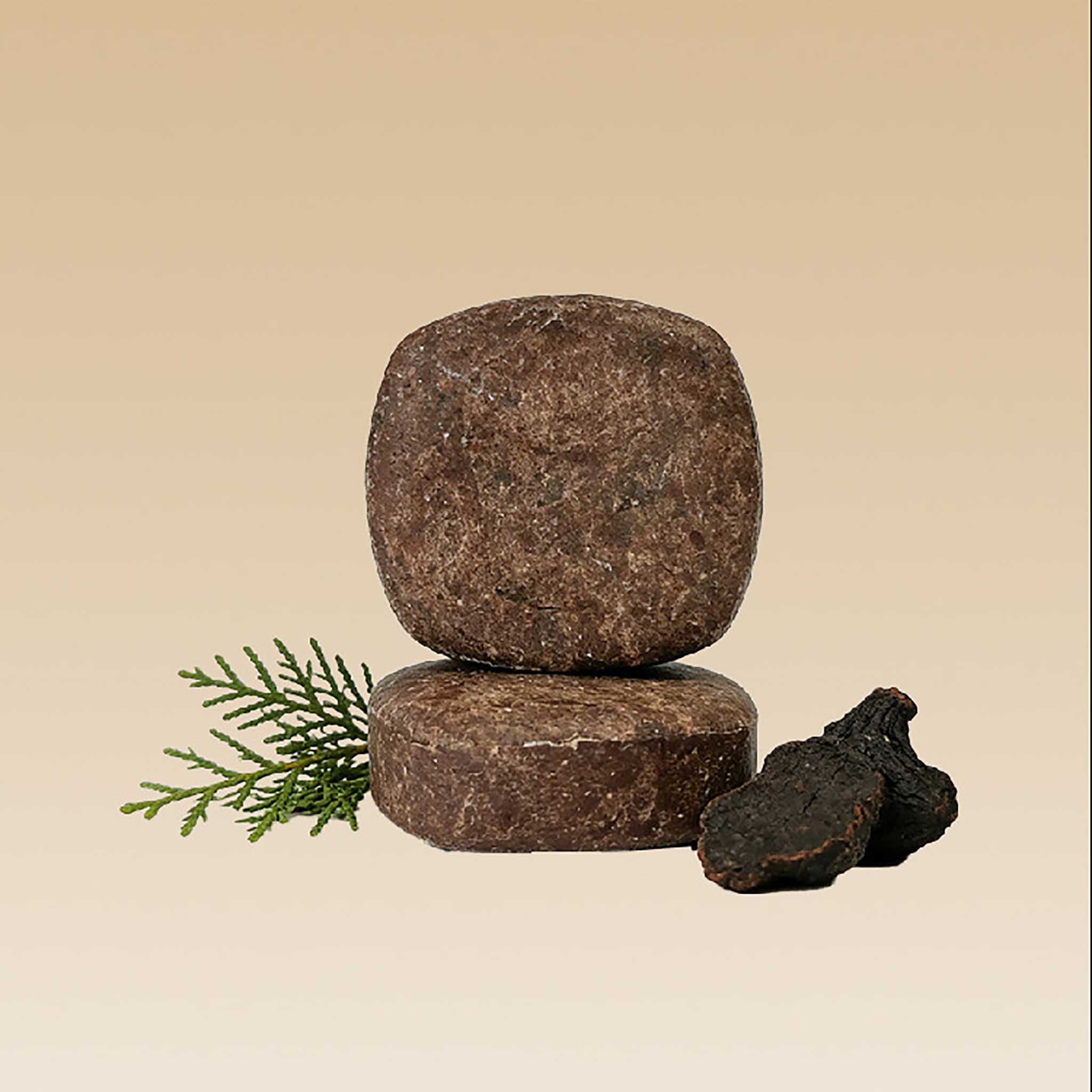 Polygonum & Arborvitae Hair Darkening Shampoo Bar | Anti-Hair Loss